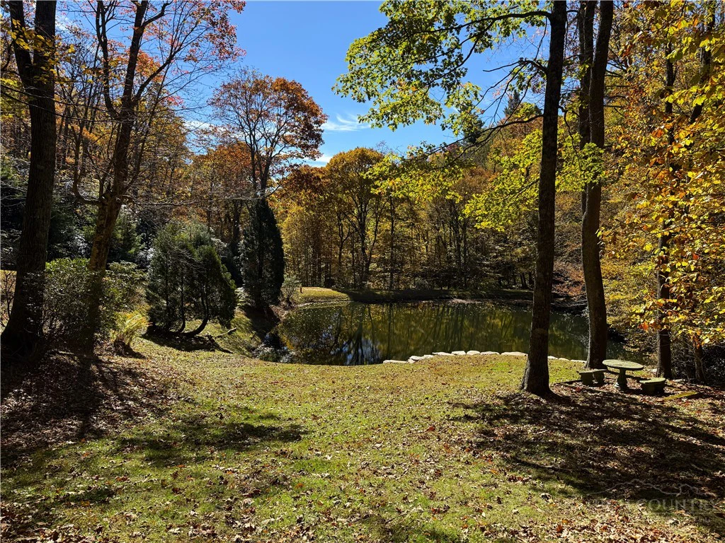 Image number 18 for the current listing