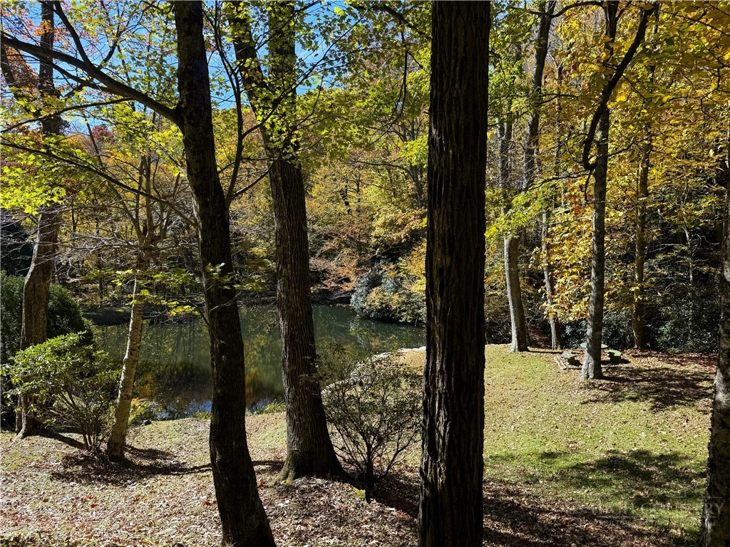 Image number 19 for the current listing