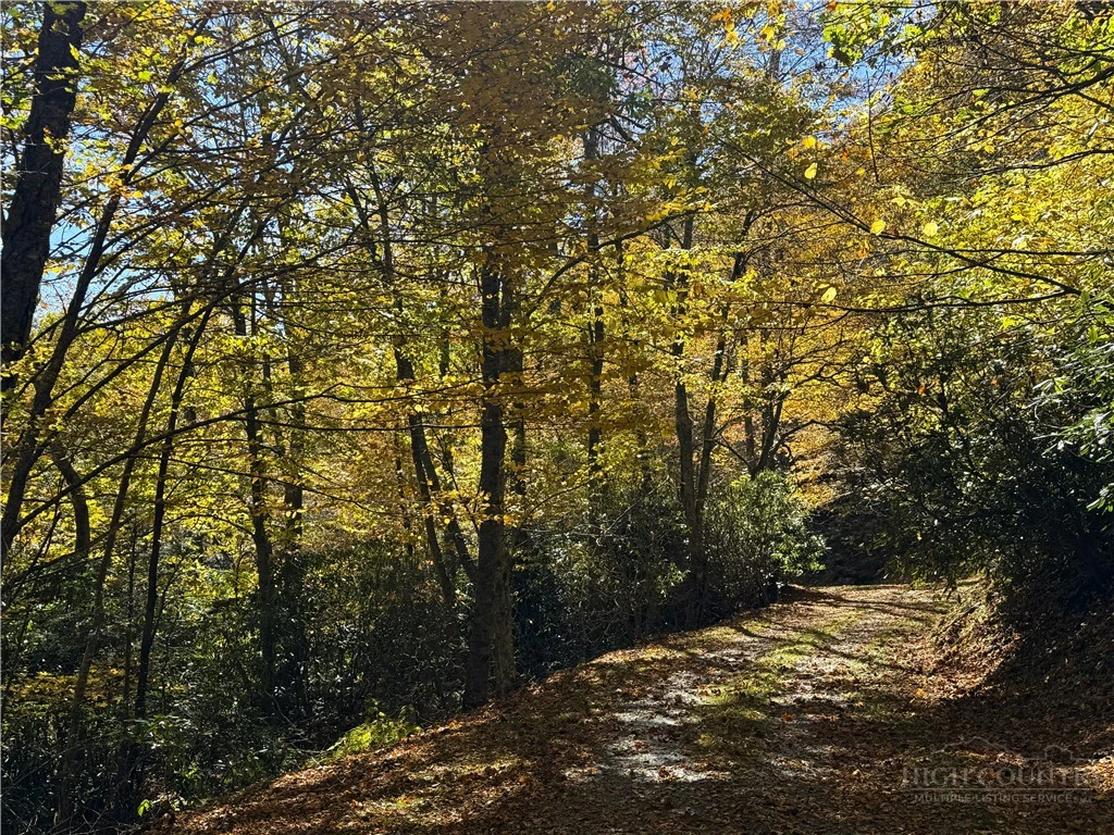Image number 20 for the current listing