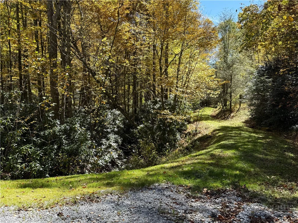 Image number 21 for the current listing
