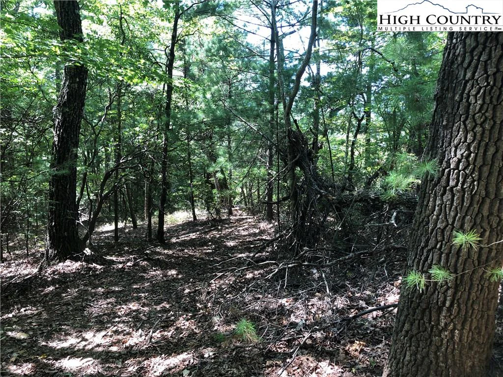 Image number 21 for the current listing