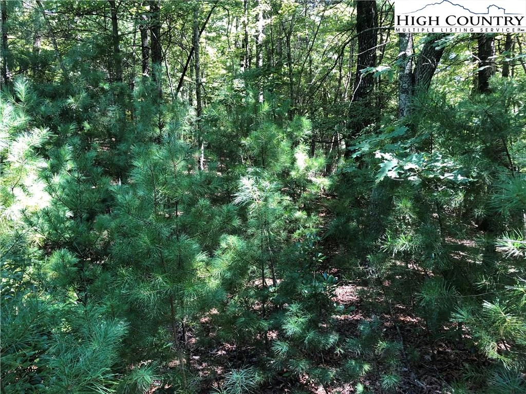 Image number 20 for the current listing