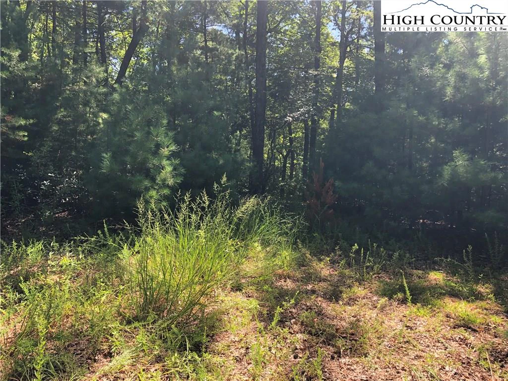 Image number 3 for the current listing