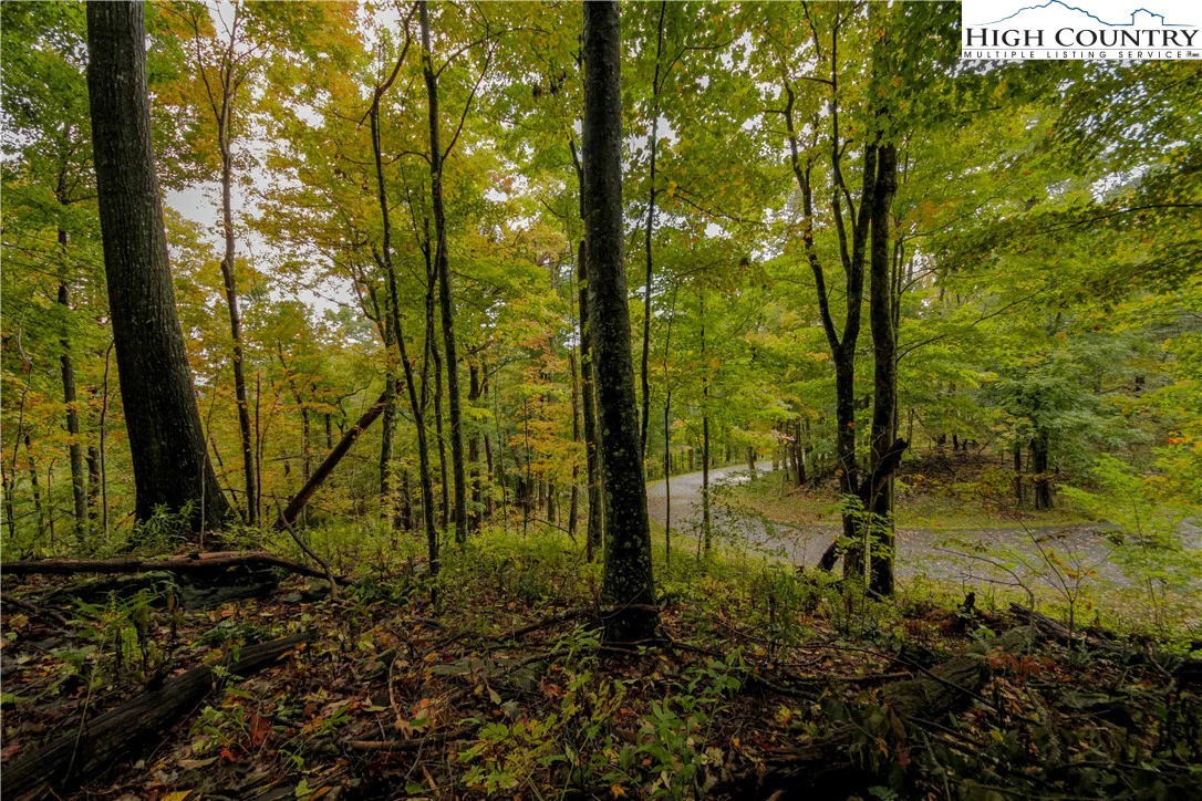 Image number 4 for the current listing