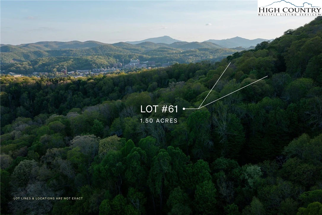 Image number 1 for the current listing