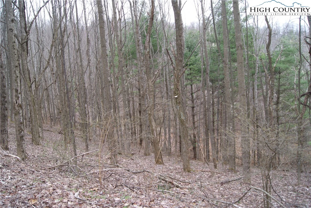 Image number 1 for the current listing