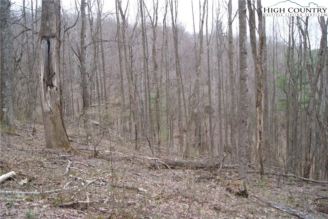 Image number 3 for the current listing