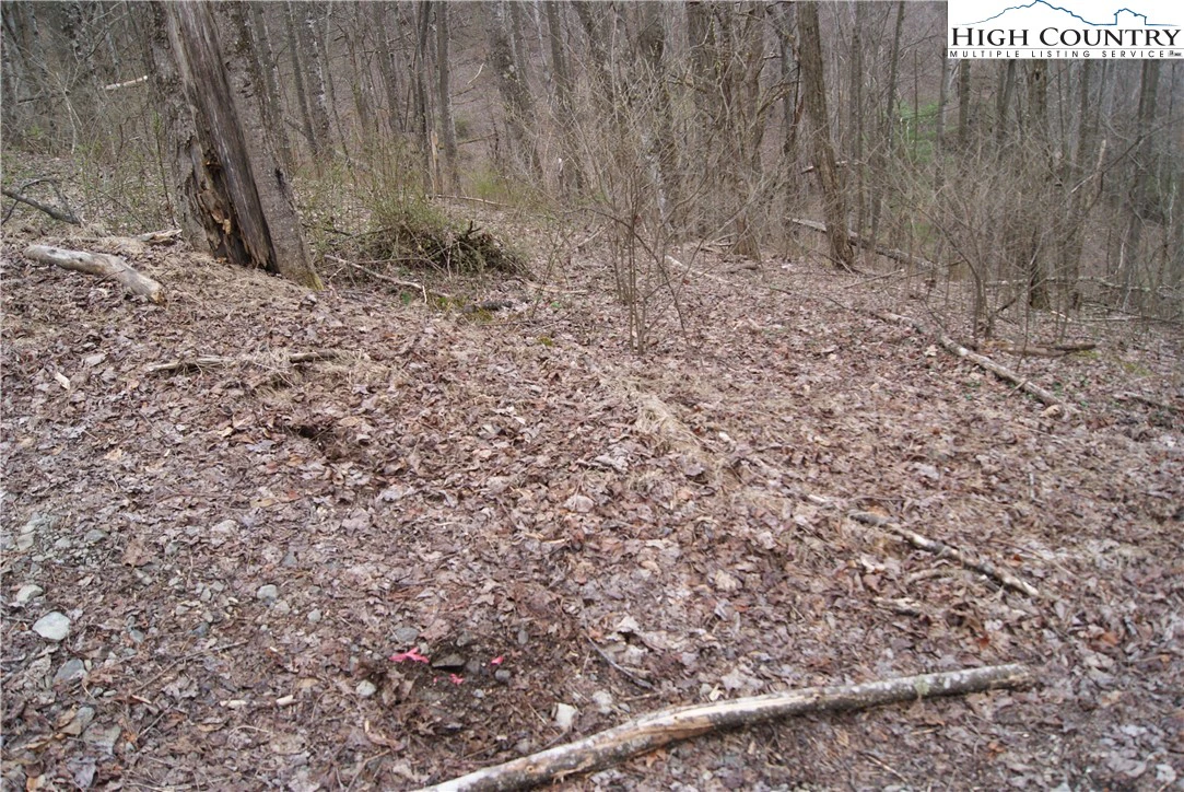 Image number 4 for the current listing