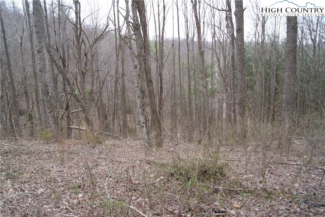 Image number 5 for the current listing