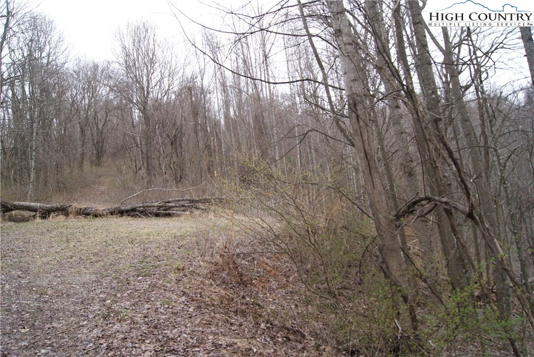 Image number 6 for the current listing