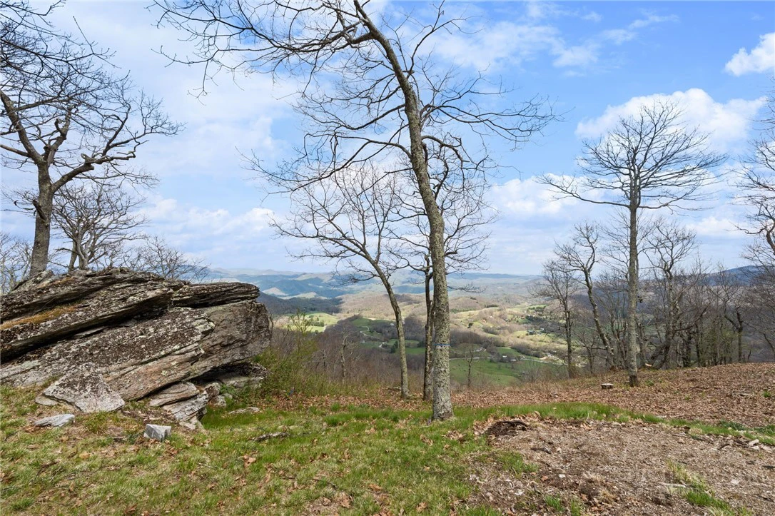 Image number 16 for the current listing