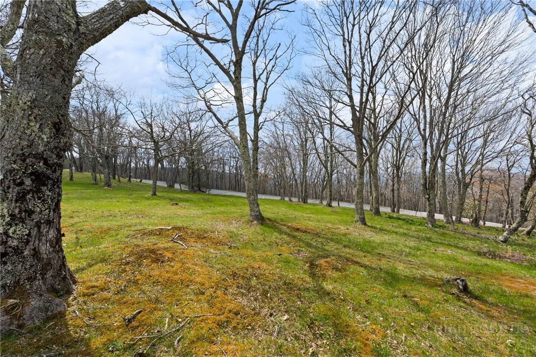 Image number 13 for the current listing