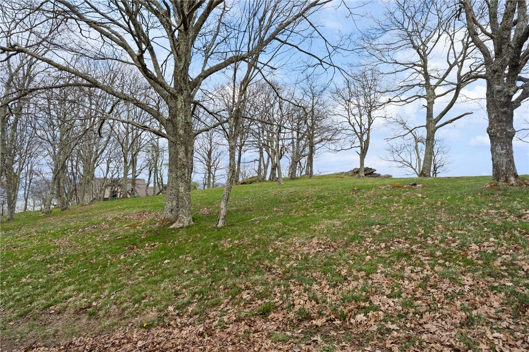 Image number 12 for the current listing
