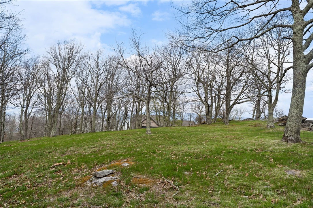 Image number 11 for the current listing