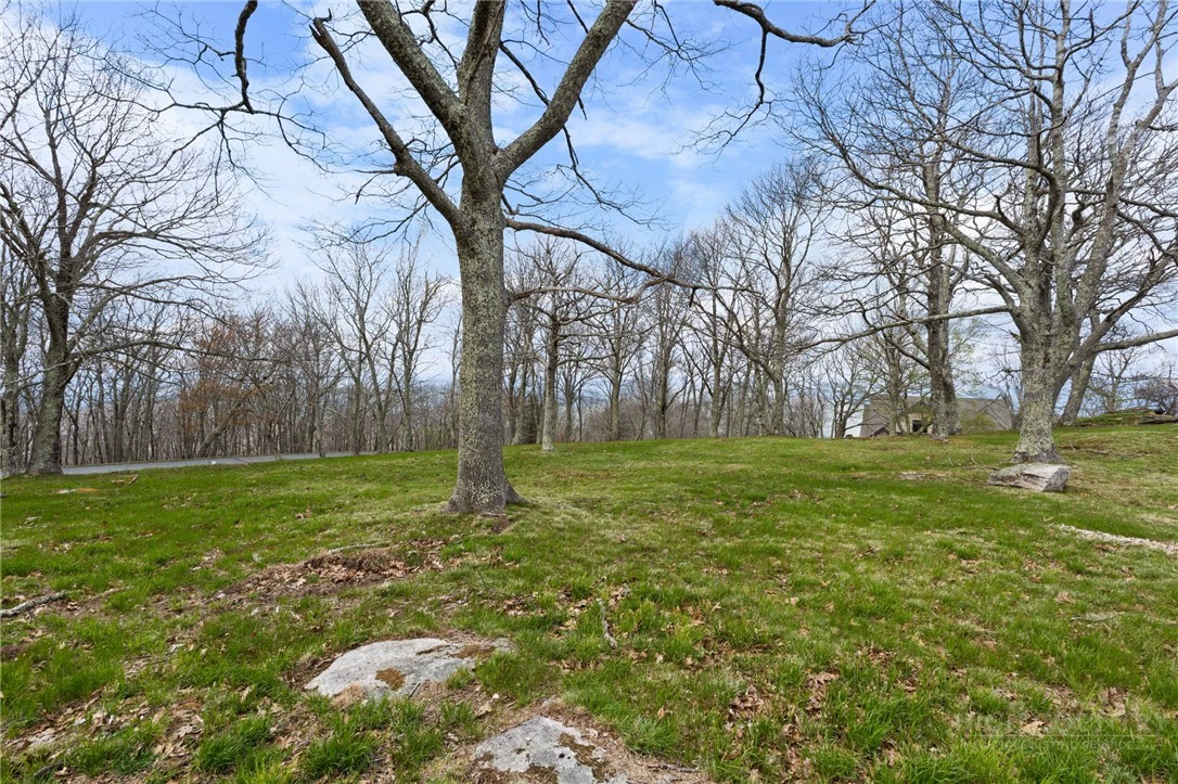 Image number 2 for the current listing