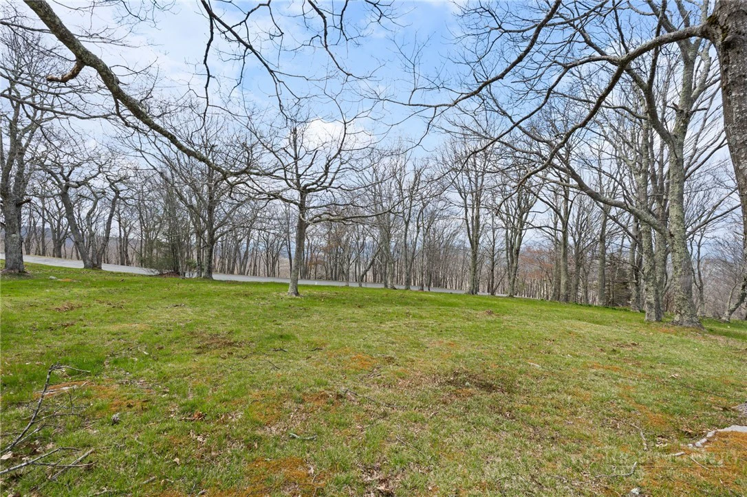 Image number 10 for the current listing