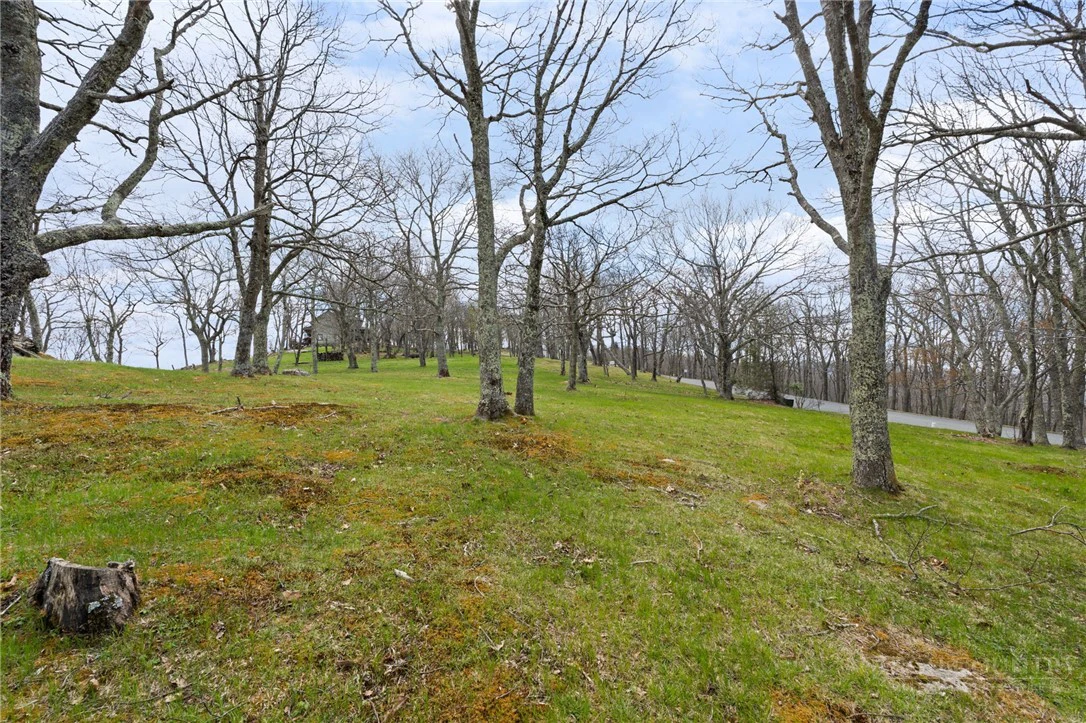 Image number 9 for the current listing