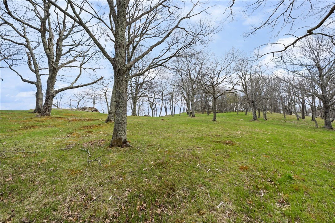 Image number 8 for the current listing