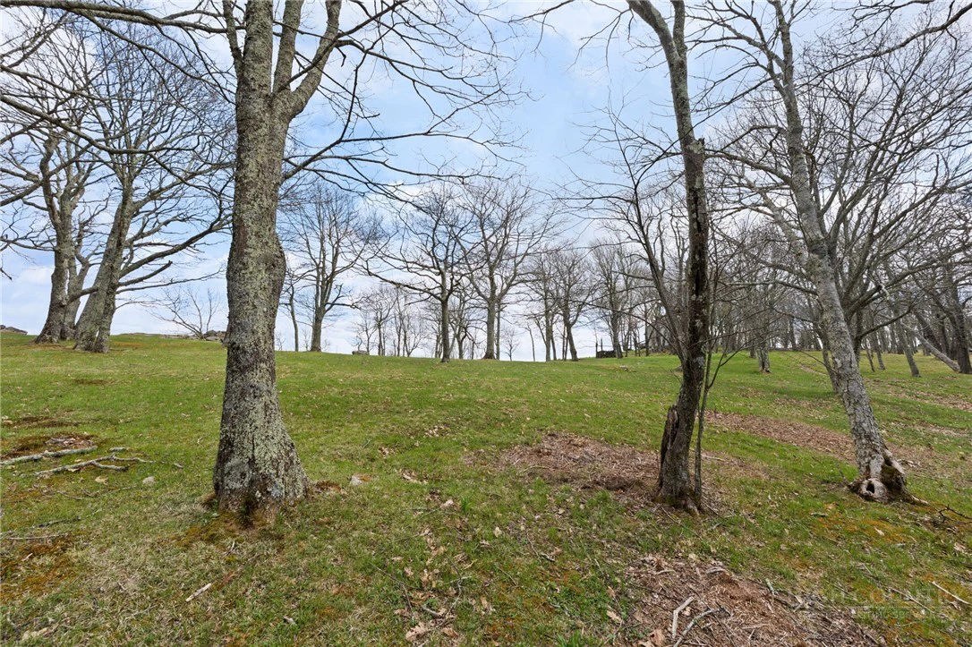 Image number 7 for the current listing