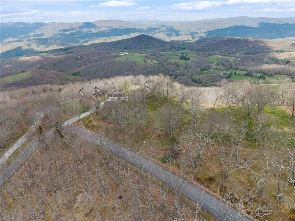 Image number 4 for the current listing