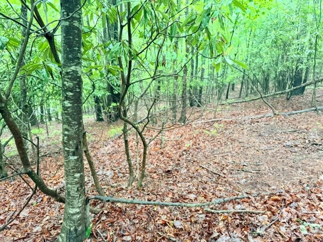 Image number 7 for the current listing