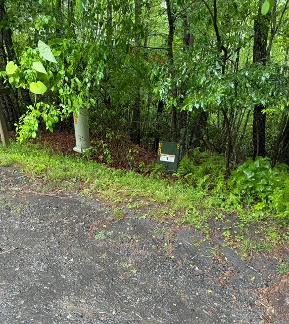 Image number 10 for the current listing
