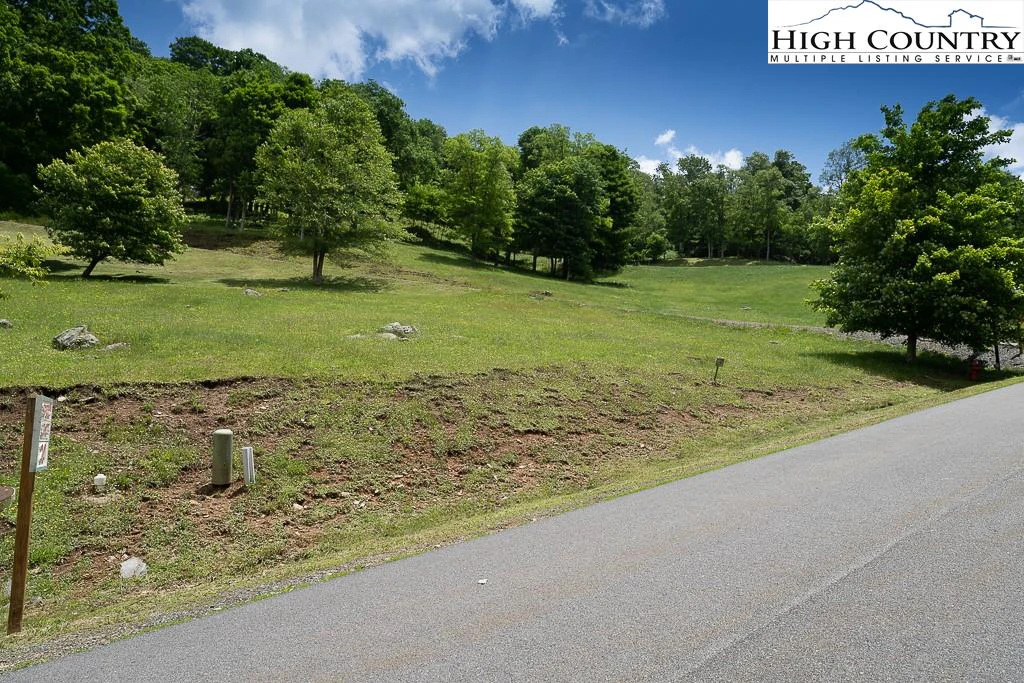 Image number 1 for the current listing