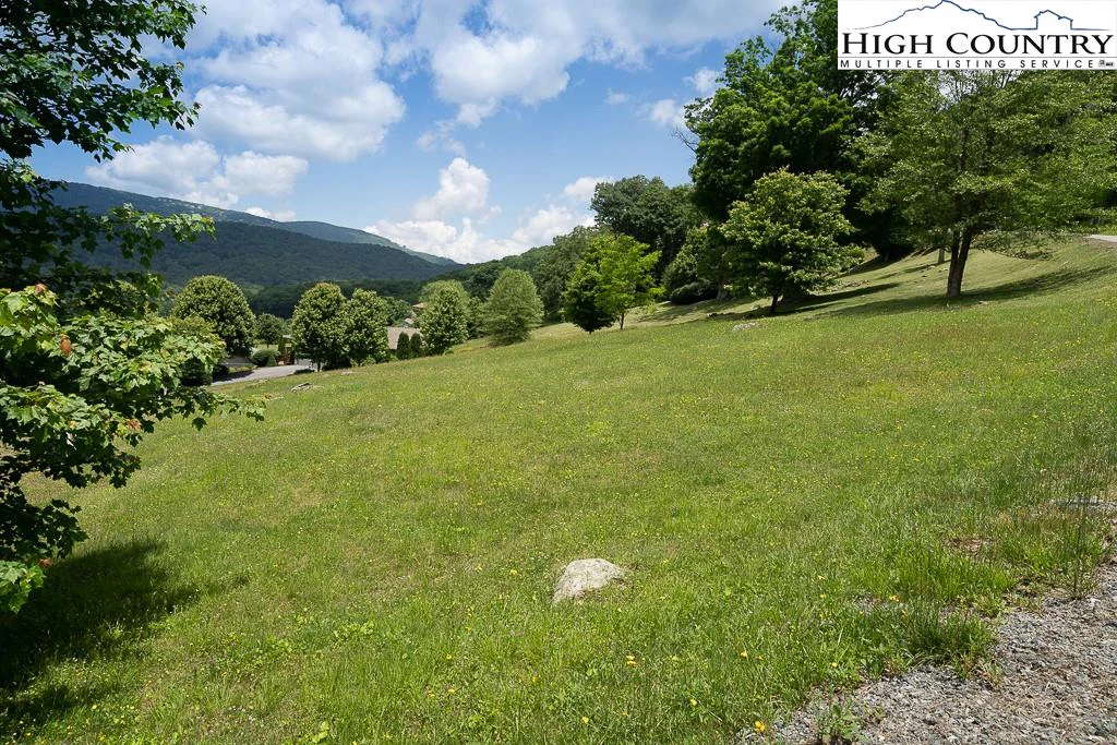 Image number 16 for the current listing