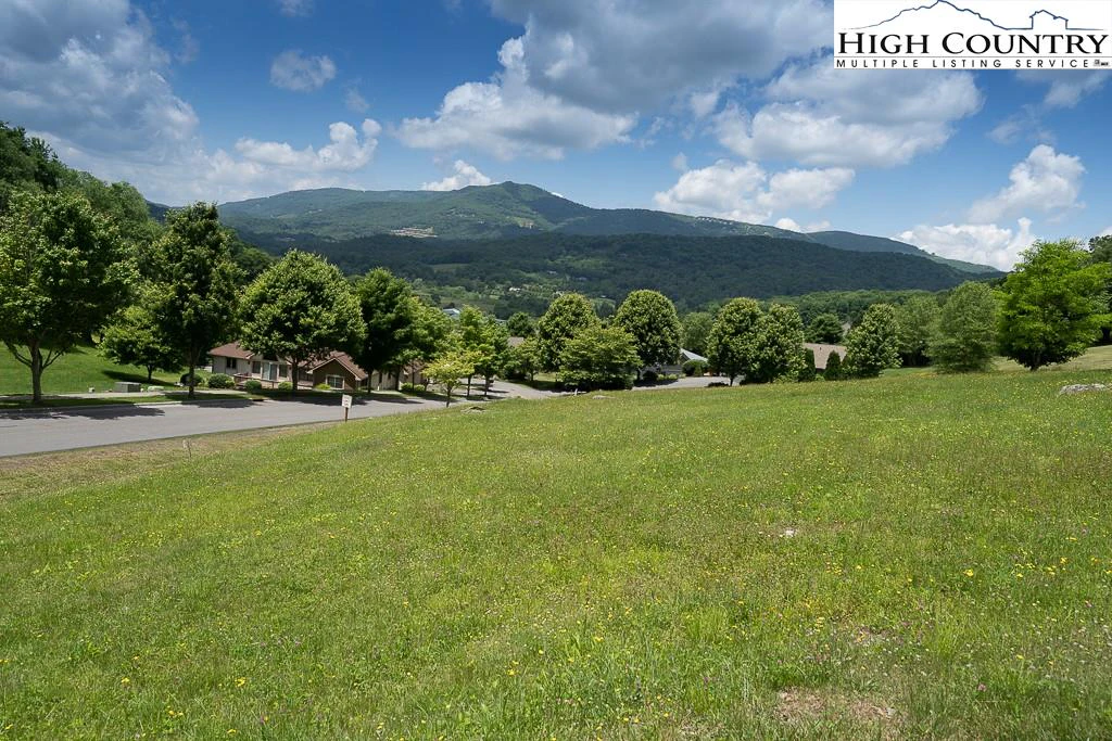 Image number 15 for the current listing