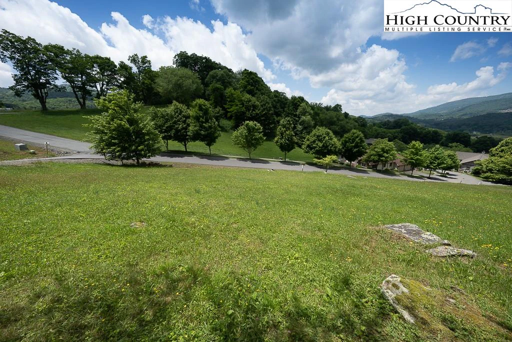 Image number 14 for the current listing