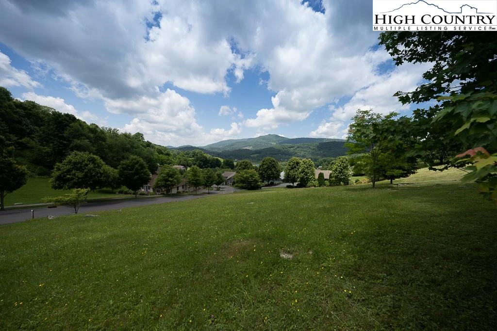 Image number 13 for the current listing