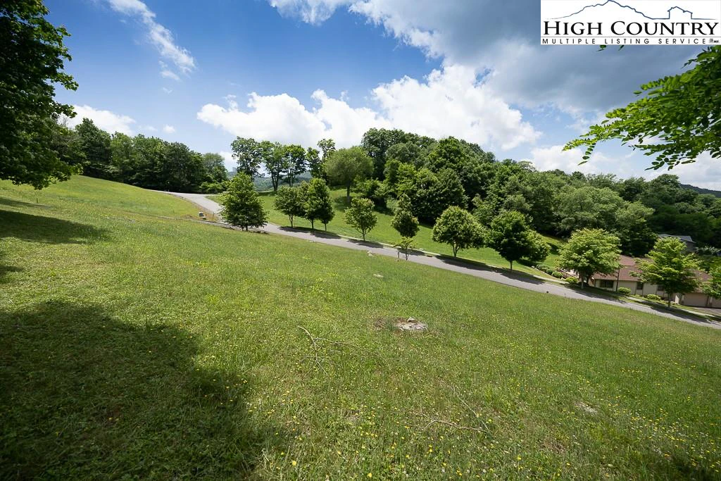 Image number 12 for the current listing