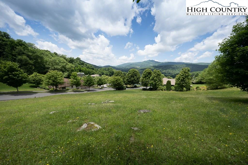 Image number 11 for the current listing