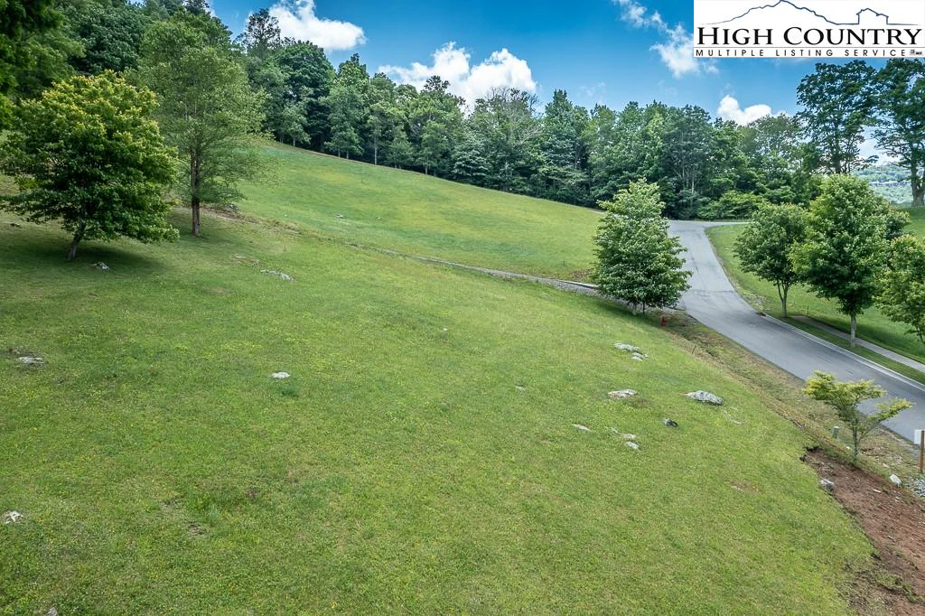Image number 2 for the current listing