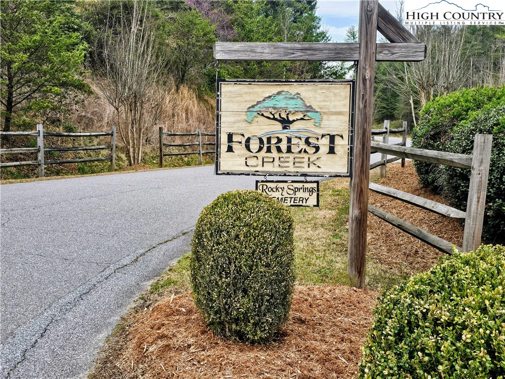 Image number 1 for the current listing