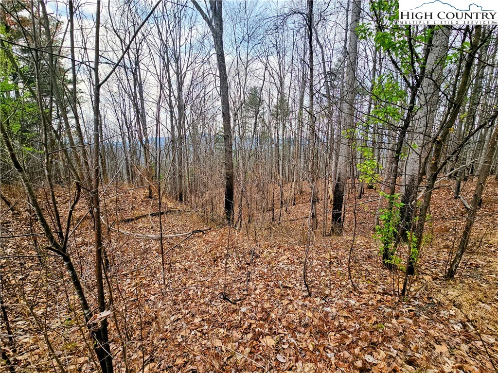 Image number 3 for the current listing