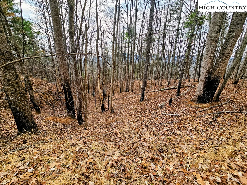 Image number 5 for the current listing