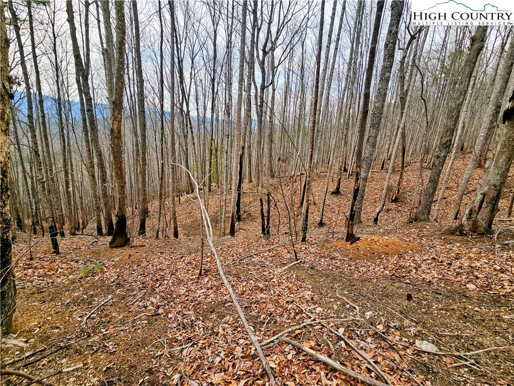 Image number 6 for the current listing