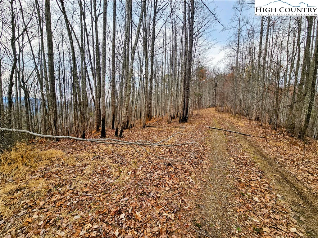 Image number 10 for the current listing