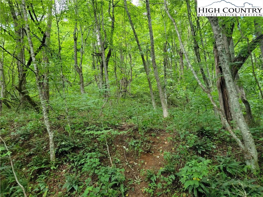 Image number 1 for the current listing