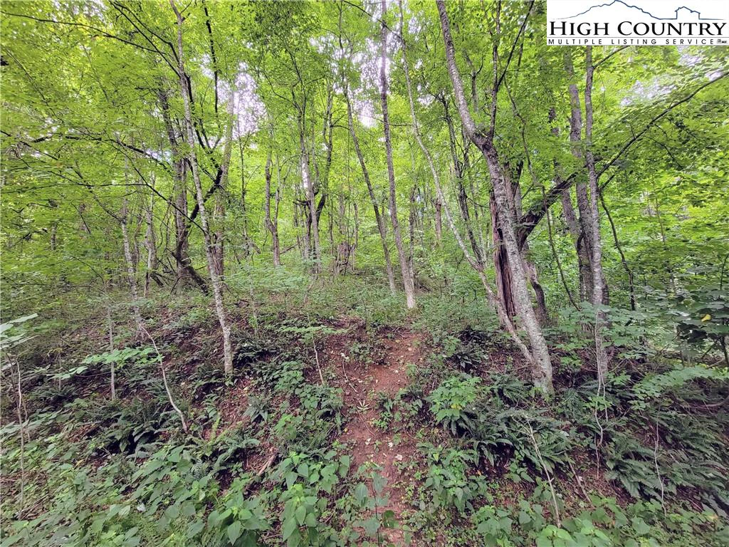 Image number 3 for the current listing