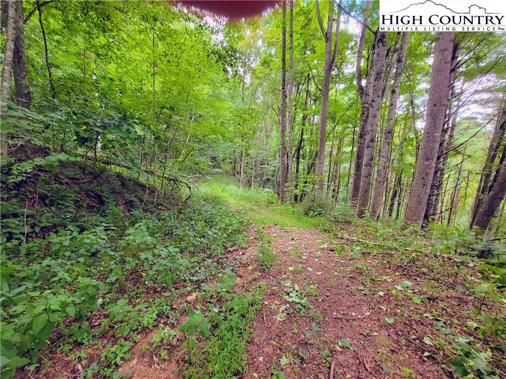 Image number 5 for the current listing