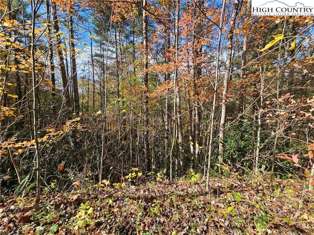 Image number 18 for the current listing