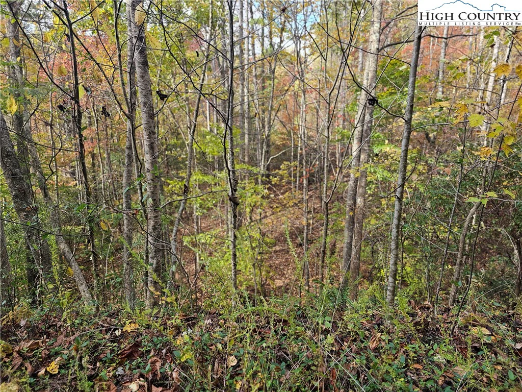 Image number 16 for the current listing