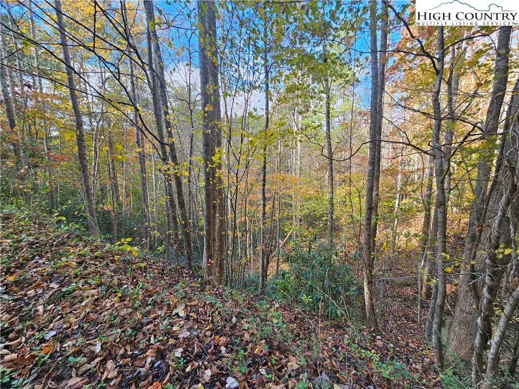 Image number 15 for the current listing