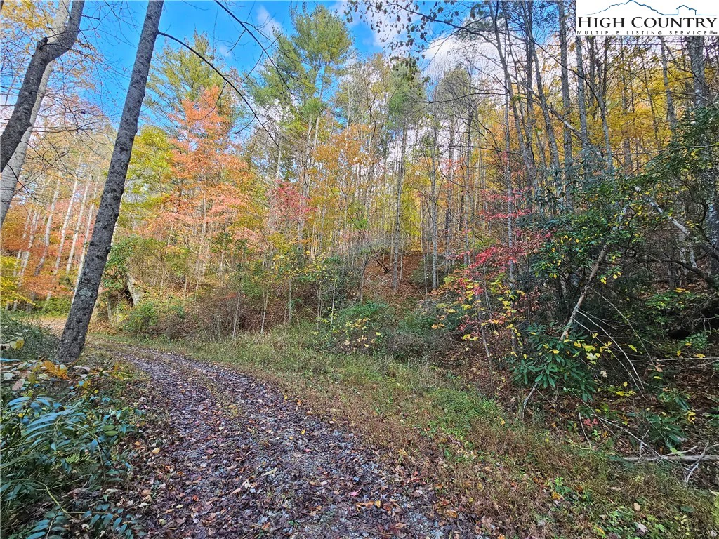 Image number 14 for the current listing