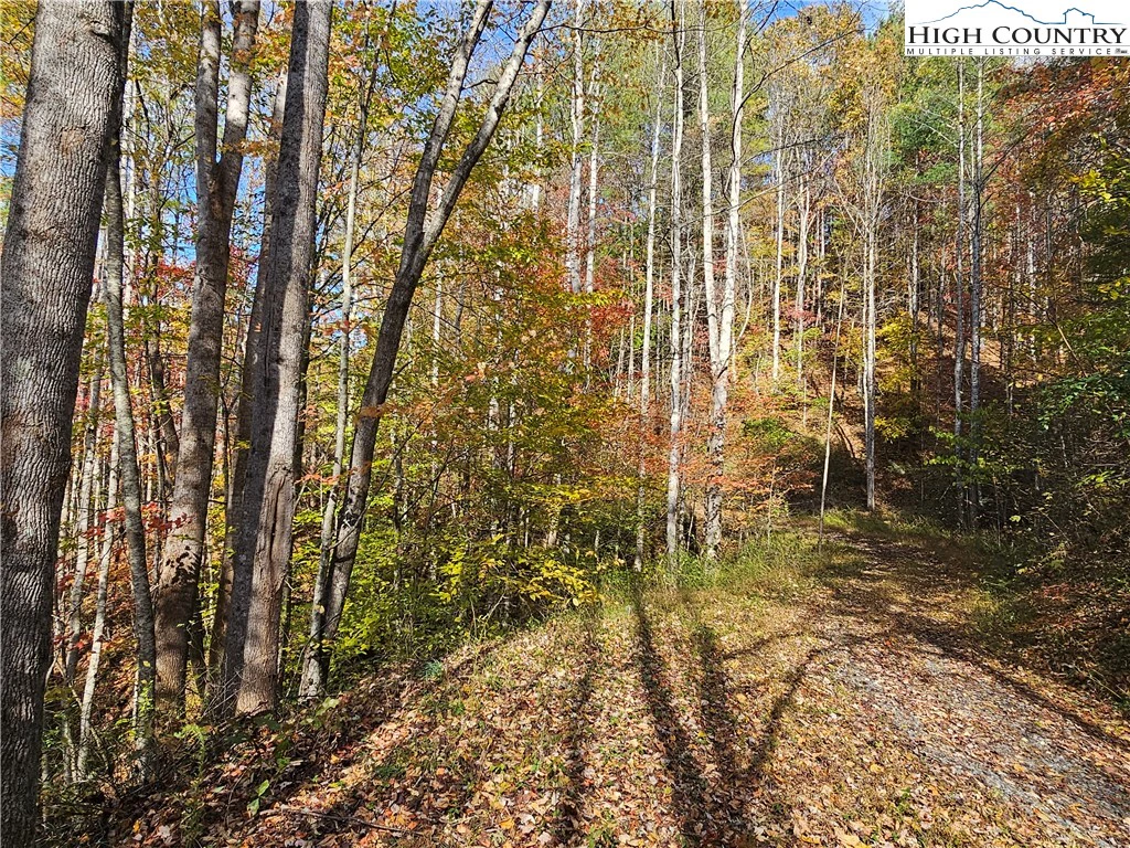 Image number 13 for the current listing