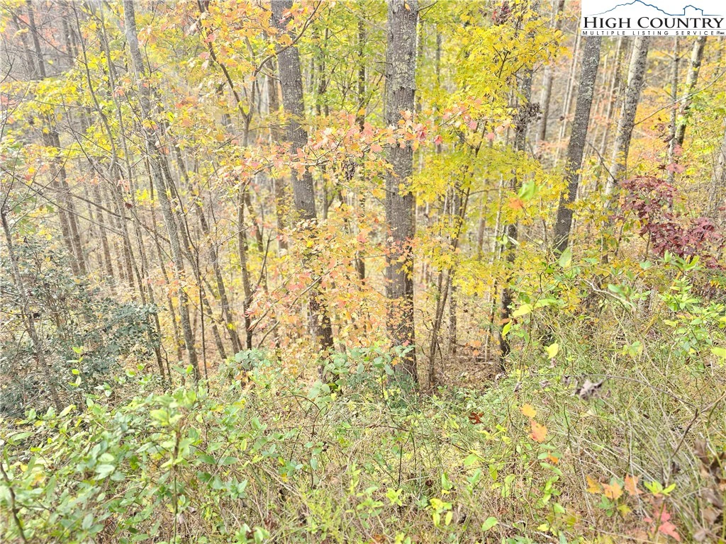 Image number 11 for the current listing