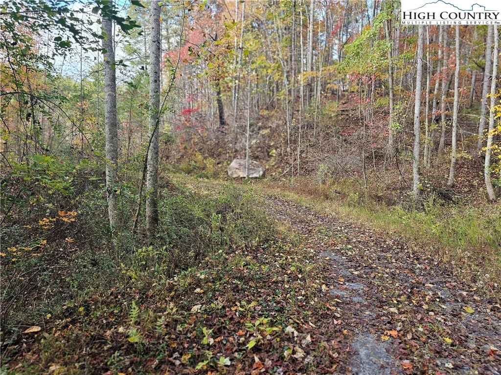 Image number 10 for the current listing