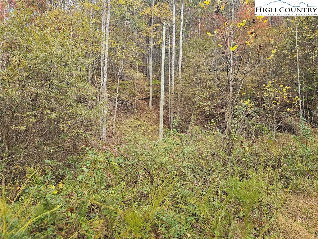 Image number 6 for the current listing